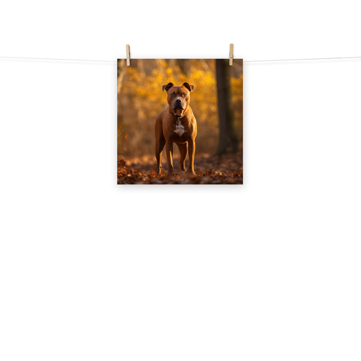 American Staffordshire Terrier Photo paper poster - PosterfyAI.com