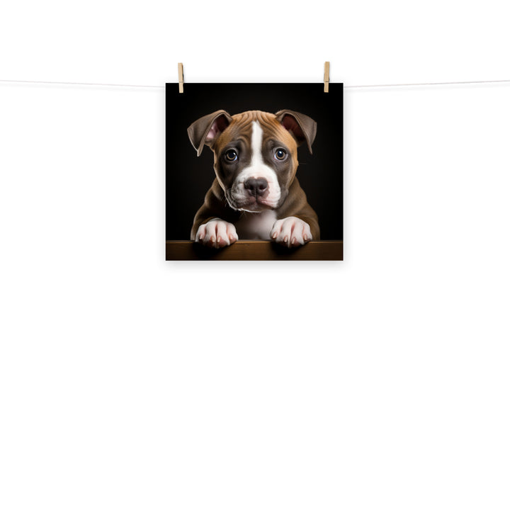 American Staffordshire Terrier Photo paper poster - PosterfyAI.com