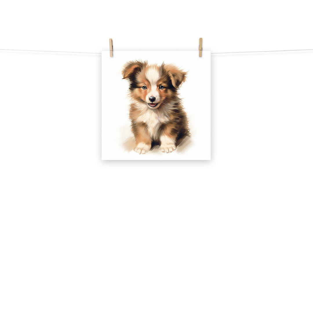 Shetland Sheepdog Photo paper poster - PosterfyAI.com