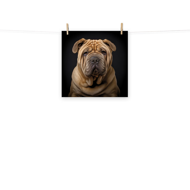 Shar Pei Photo paper poster - PosterfyAI.com