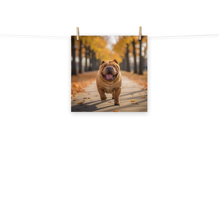 Shar Pei Photo paper poster - PosterfyAI.com