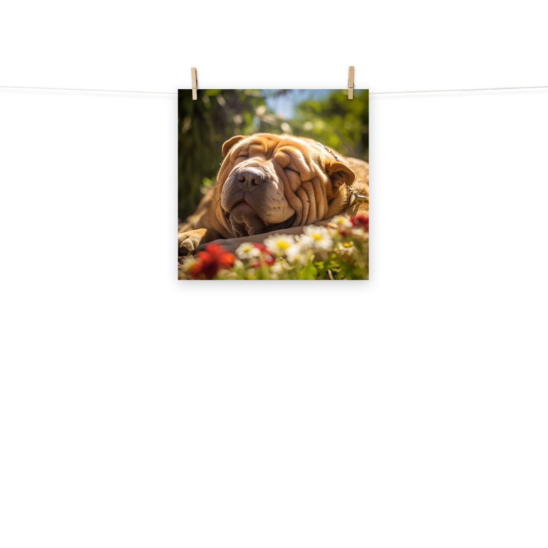 Shar Pei Photo paper poster - PosterfyAI.com