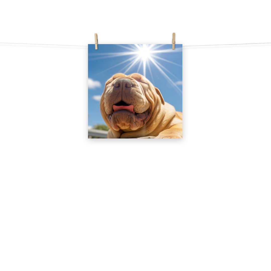 Shar Pei Photo paper poster - PosterfyAI.com