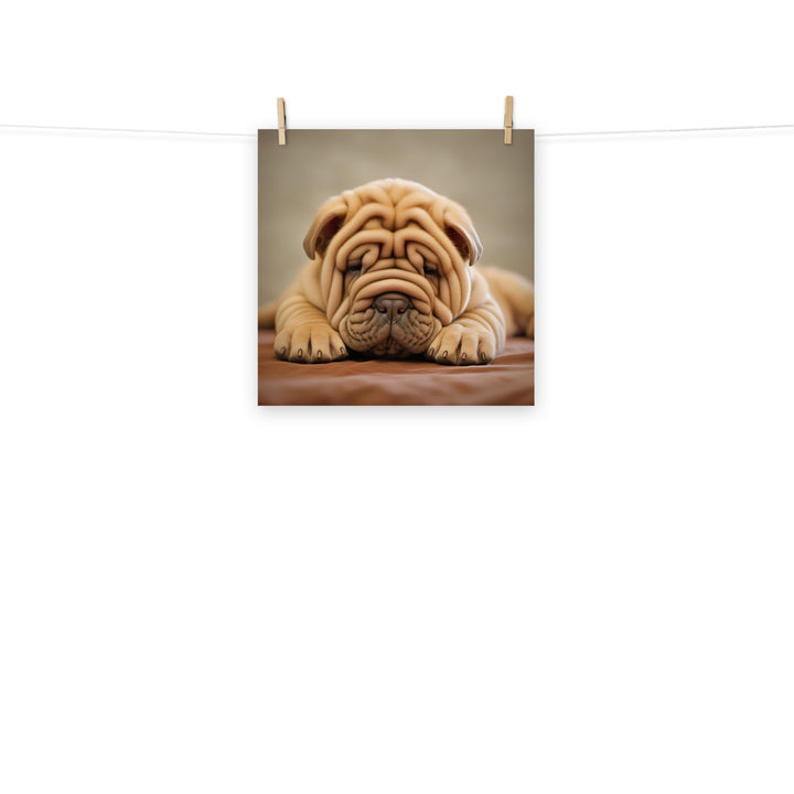 Shar Pei Photo paper poster - PosterfyAI.com