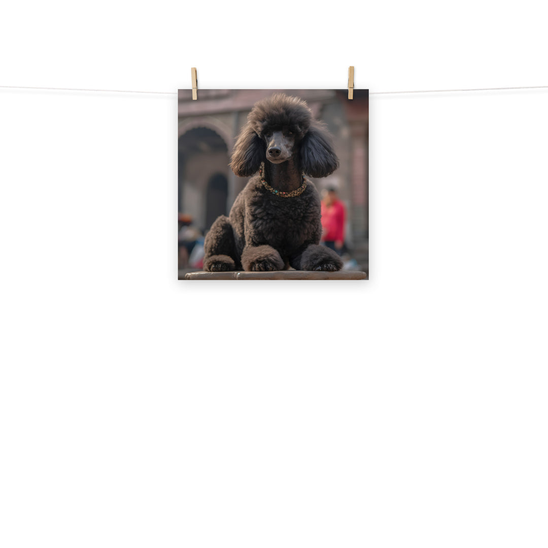 Poodle Photo paper poster - PosterfyAI.com