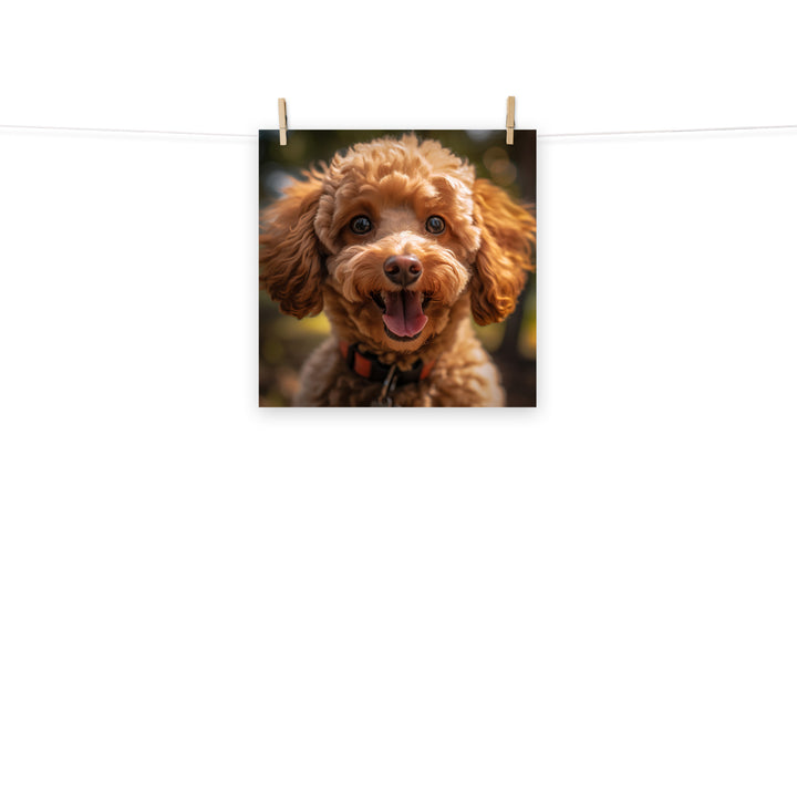 Poodle Photo paper poster - PosterfyAI.com