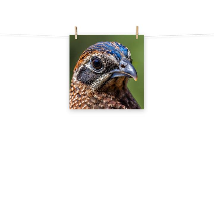 Quail Photo paper poster - PosterfyAI.com