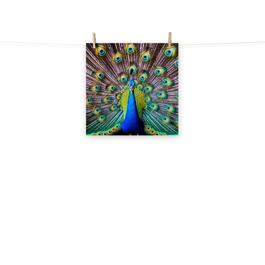 Peacock Photo paper poster - PosterfyAI.com