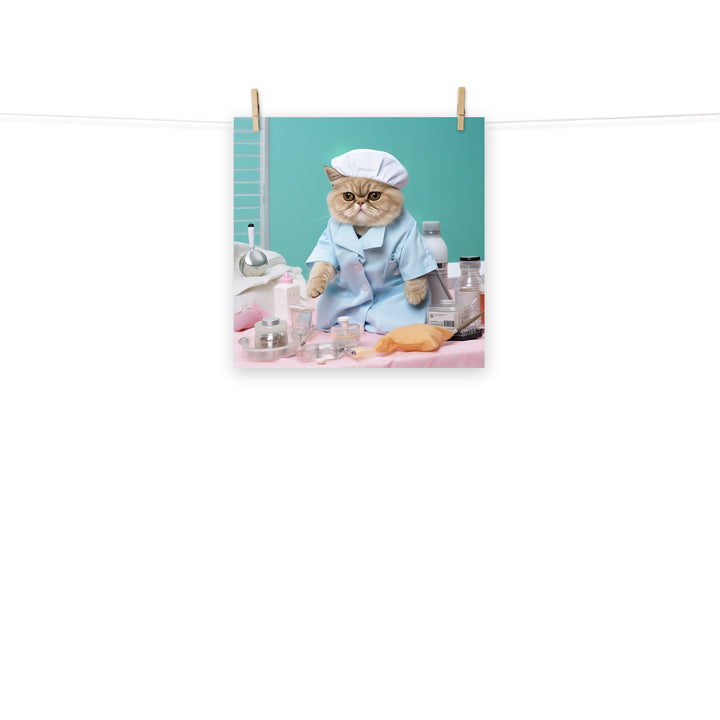 Exotic Shorthair Nurse Photo paper poster - PosterfyAI.com