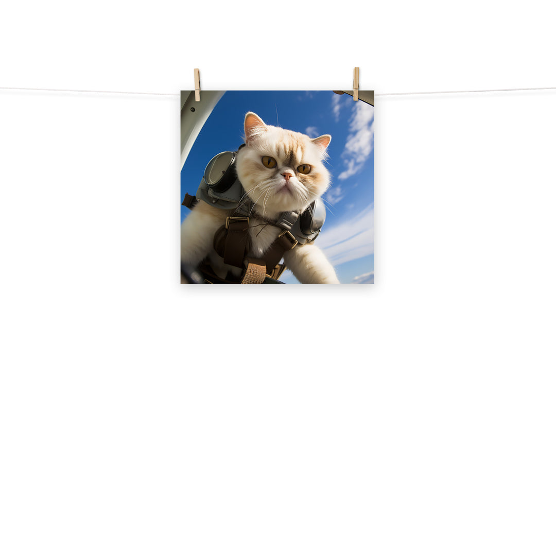 Exotic Shorthair Pilot Photo paper poster - PosterfyAI.com