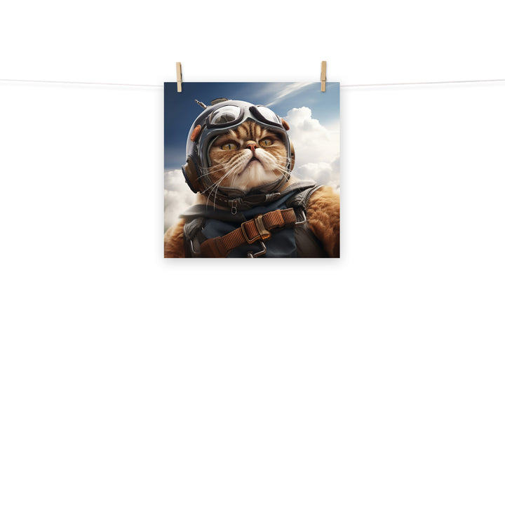 Exotic Shorthair Pilot Photo paper poster - PosterfyAI.com