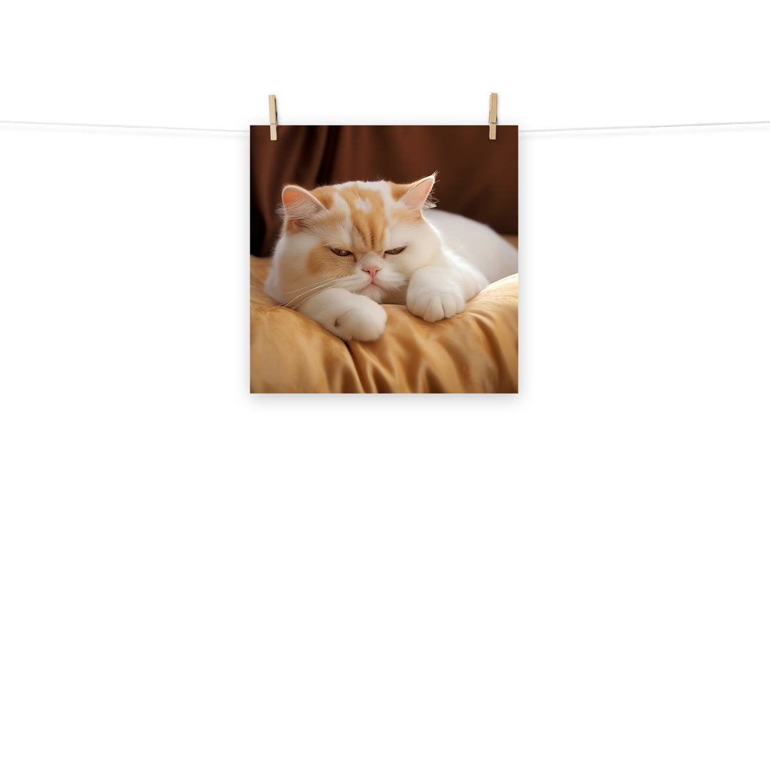 Exotic Shorthair Photo paper poster - PosterfyAI.com