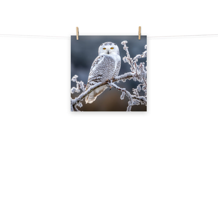 Owl Photo paper poster - PosterfyAI.com