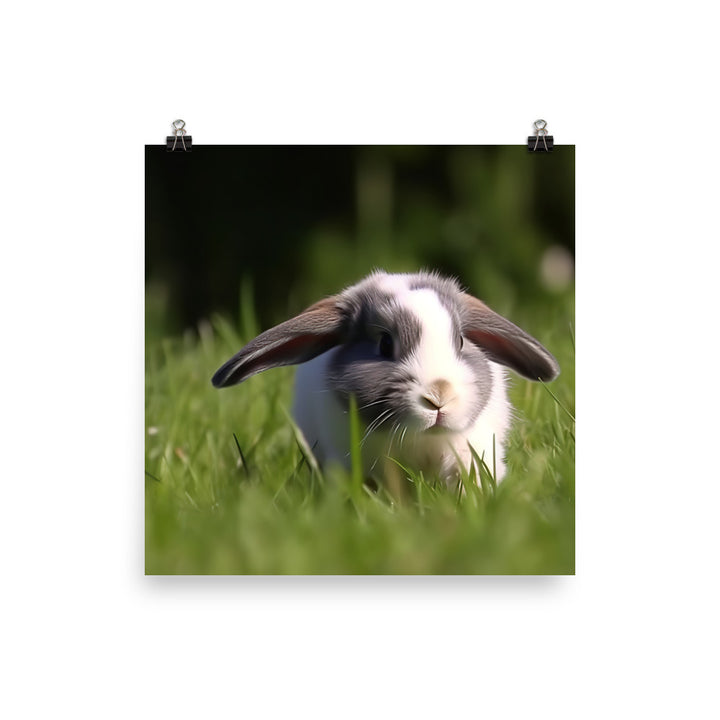 Playful Mini Lop Bunny in a Meadow Photo paper poster - PosterfyAI.com