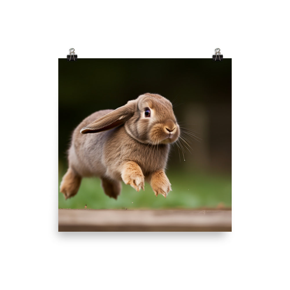 Playful French Lop Photo paper poster - PosterfyAI.com