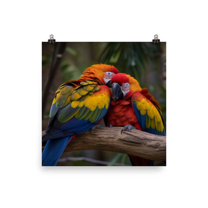 Two Macaws cuddling on a tree branch Photo paper poster - PosterfyAI.com