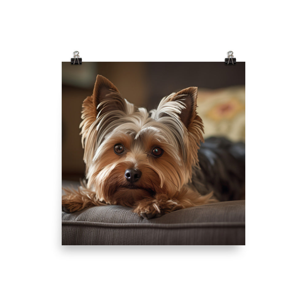 Yorkie at Home Photo paper poster - PosterfyAI.com