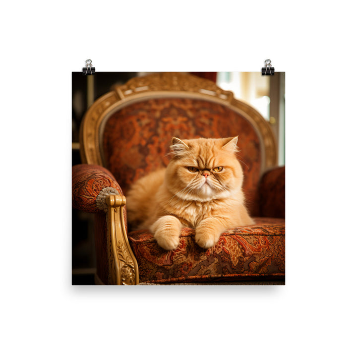 Exotic Shorthair Cat Lounging Photo paper poster - PosterfyAI.com