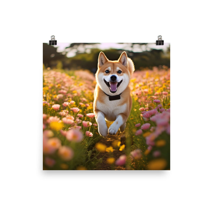 Shiba Inu Running Photo paper poster - PosterfyAI.com