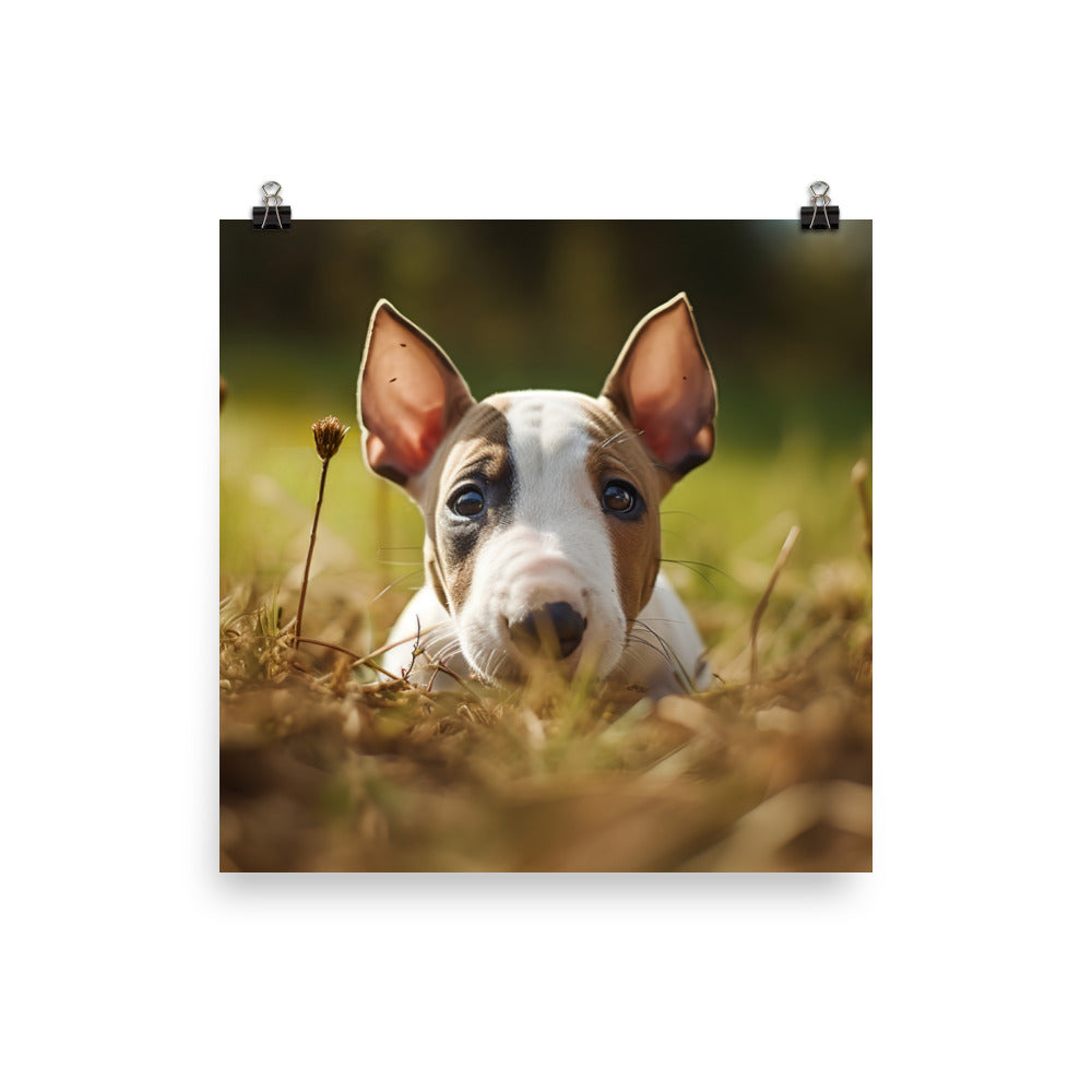 Playful Bull Terrier Pup Photo paper poster - PosterfyAI.com