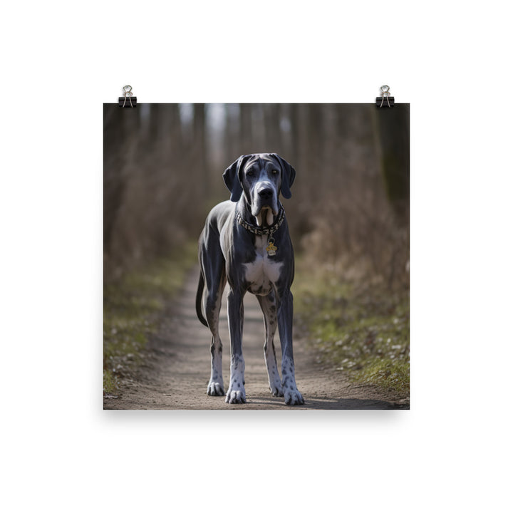 Majestic Great Dane on a Stroll Photo paper poster - PosterfyAI.com