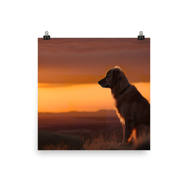 Majestic Golden Retriever at Sunset Photo paper poster - PosterfyAI.com
