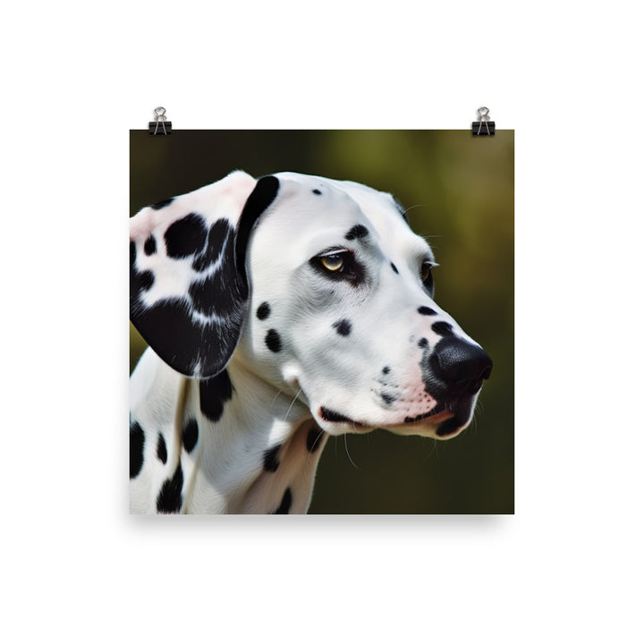 Dalmatian Photo paper poster - PosterfyAI.com