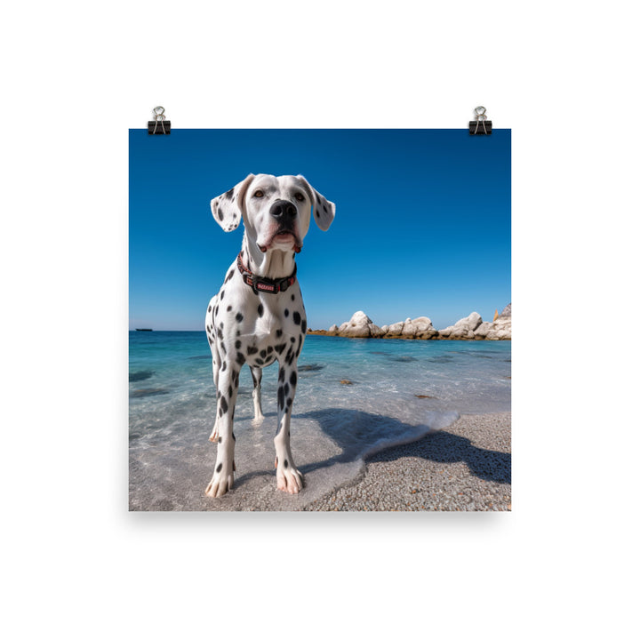 Dalmatian on the Beach Photo paper poster - PosterfyAI.com