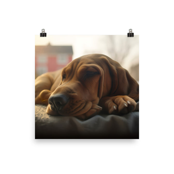 Cuddles with a Bloodhound Photo paper poster - PosterfyAI.com