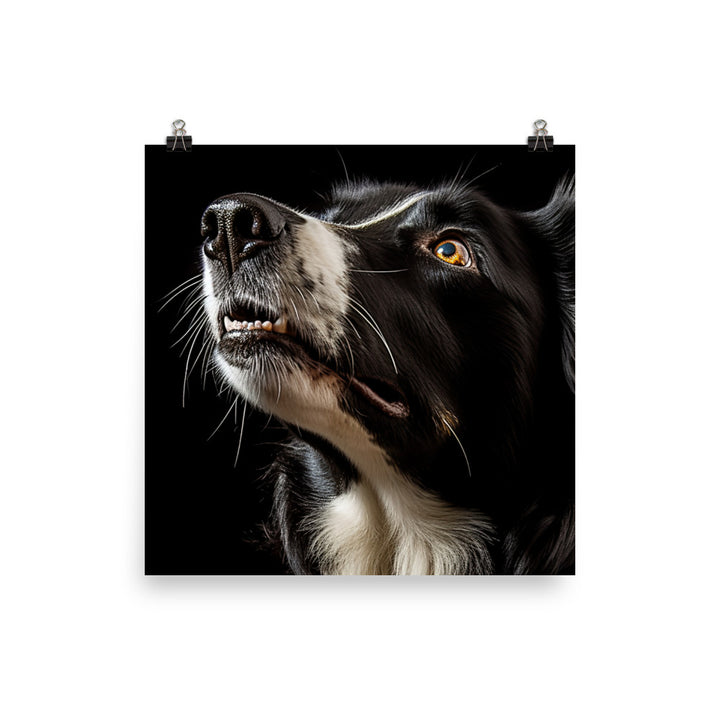 Clever Border Collie Photo paper poster - PosterfyAI.com