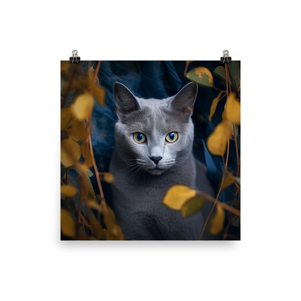 Russian Blue Cat Photo paper poster - PosterfyAI.com