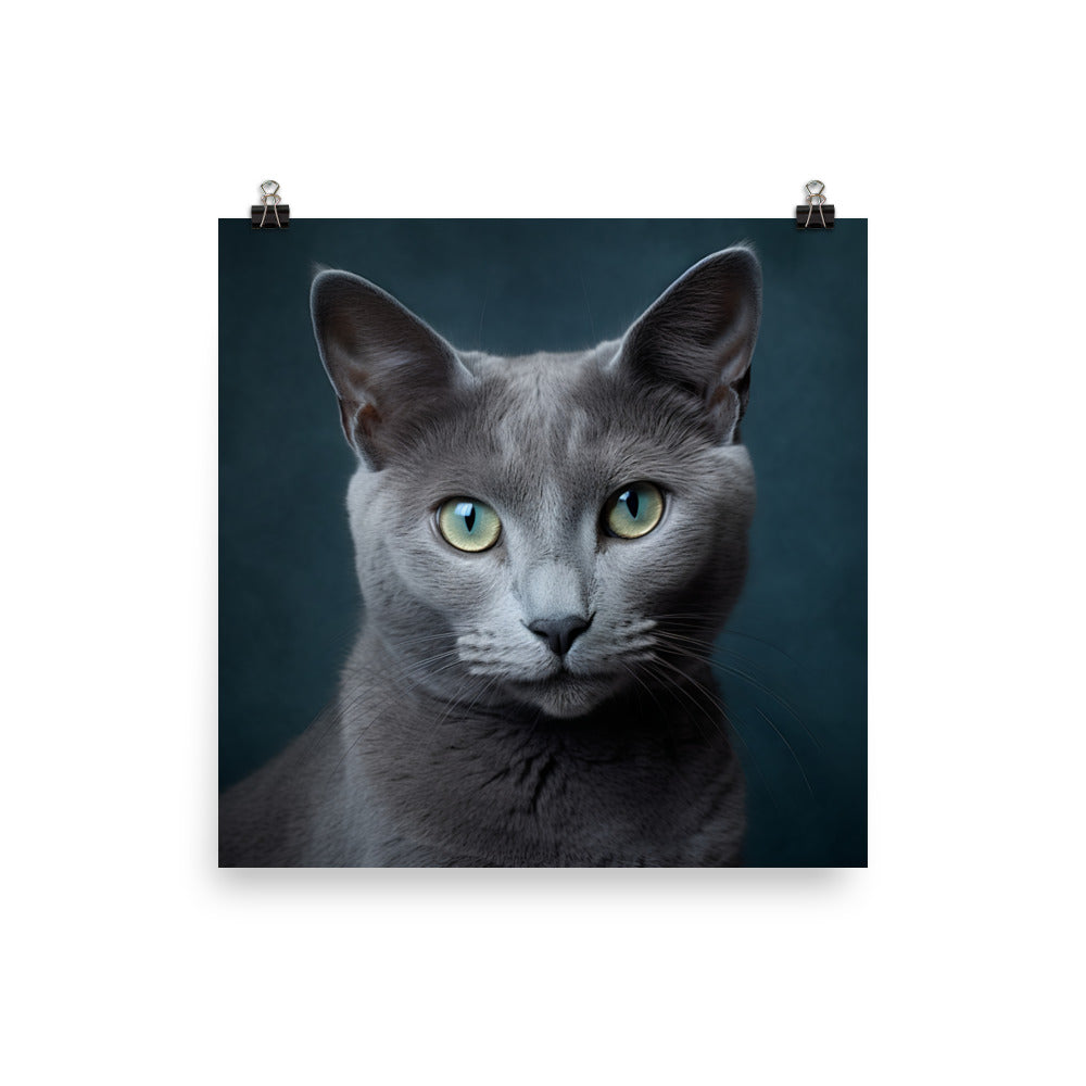 Russian Blue Cat Photo paper poster - PosterfyAI.com