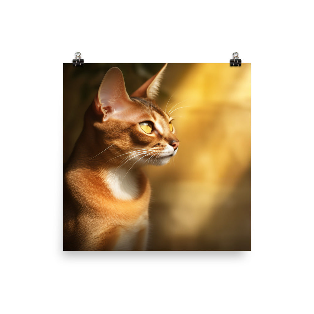 Playful Spirit of Abyssinian Cat Photo paper poster - PosterfyAI.com
