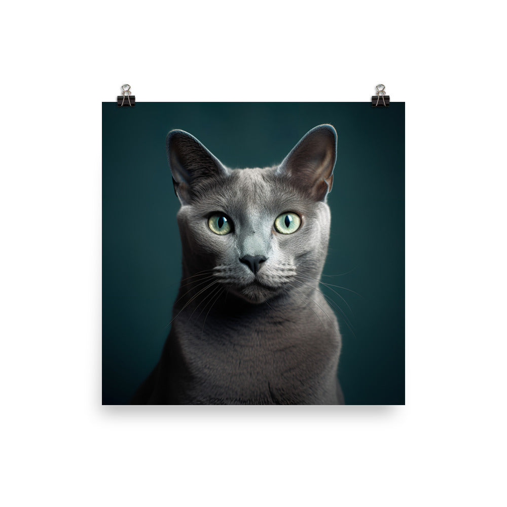 Gentle Nature of Russian Blue Cat Photo paper poster - PosterfyAI.com