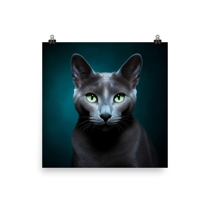 Charms of Russian Blue Cat Photo paper poster - PosterfyAI.com