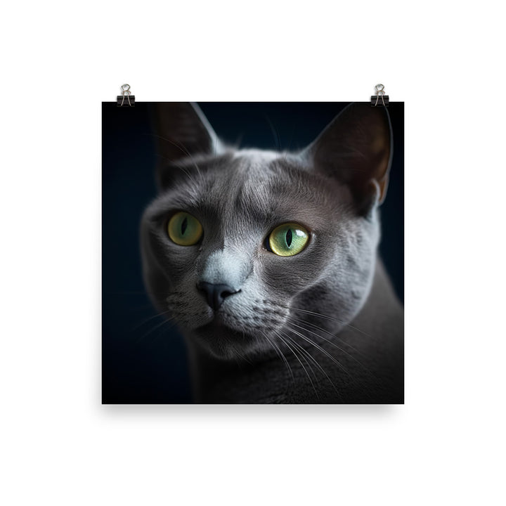 Beauty of Russian Blue Cat Photo paper poster - PosterfyAI.com