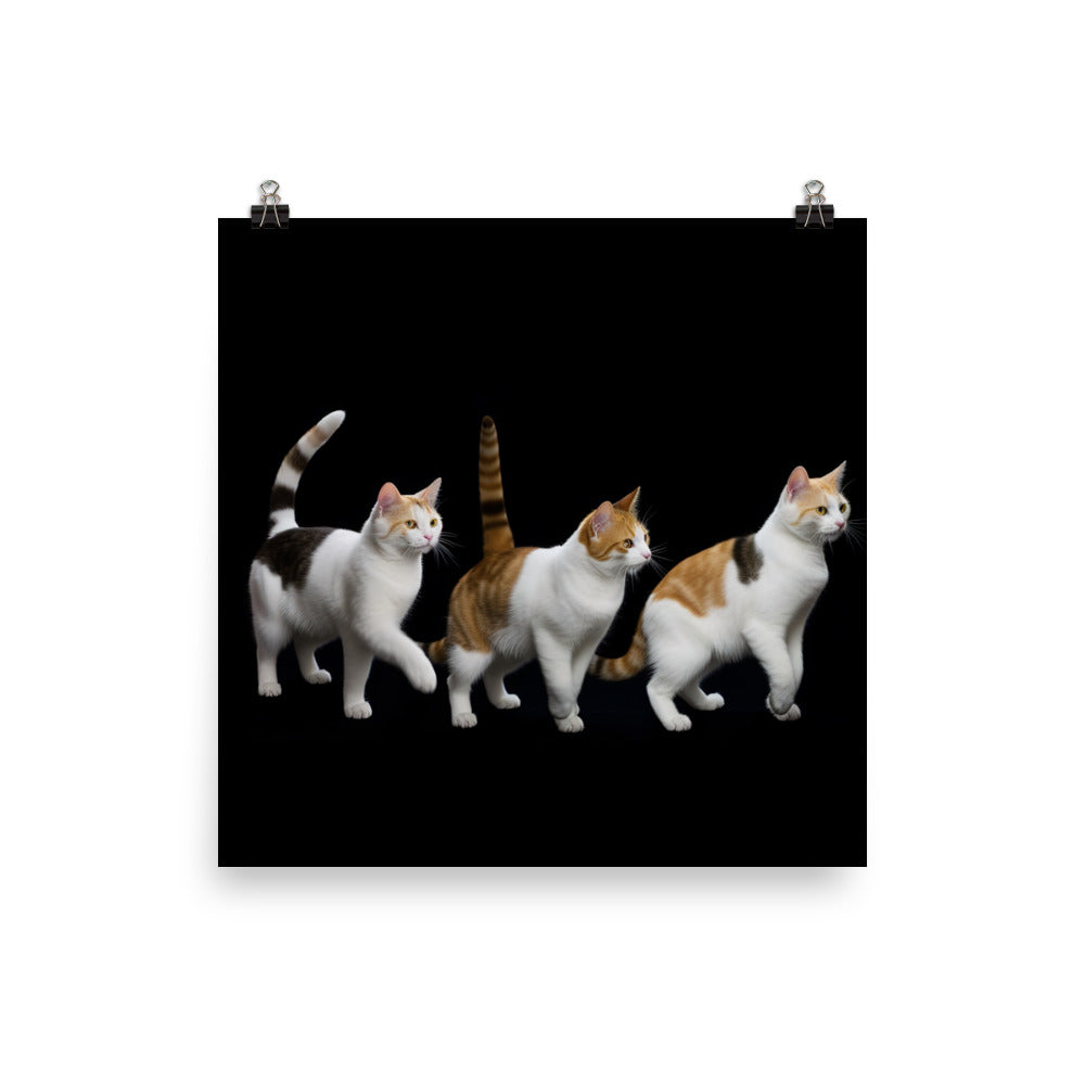 Agile Dance of Japanese Bobtail Cat Photo paper poster - PosterfyAI.com