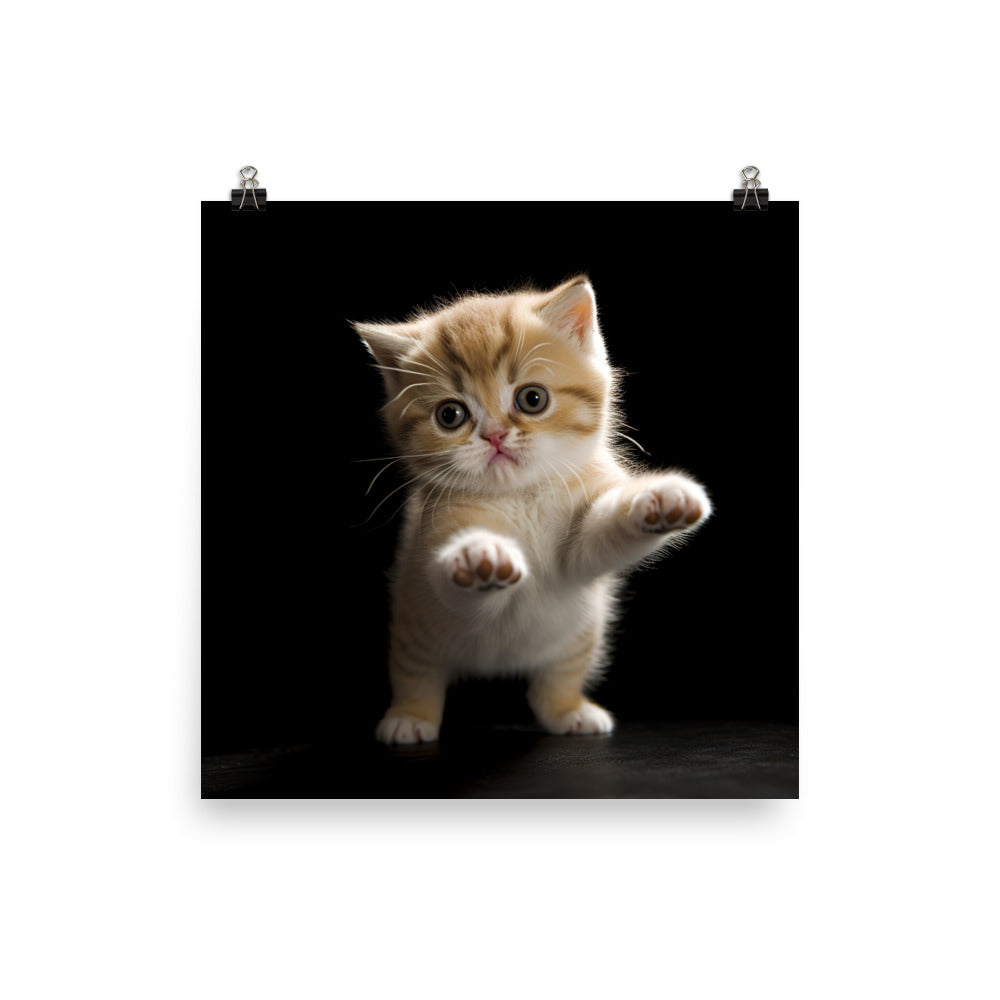 Exotic Shorthair Kitten Photo paper poster - PosterfyAI.com