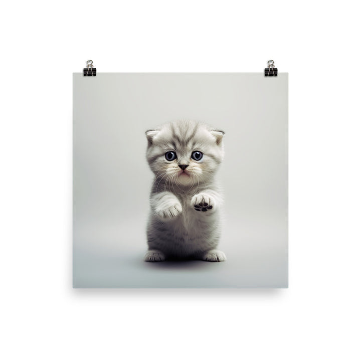 Scottish Fold Kitten Photo paper poster - PosterfyAI.com