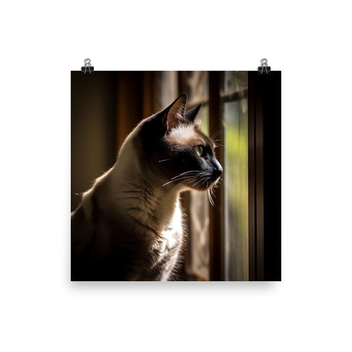 Siamese Serenity Photo paper poster - PosterfyAI.com