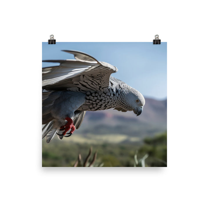 African Grey Parrot in Flight Photo paper poster - PosterfyAI.com