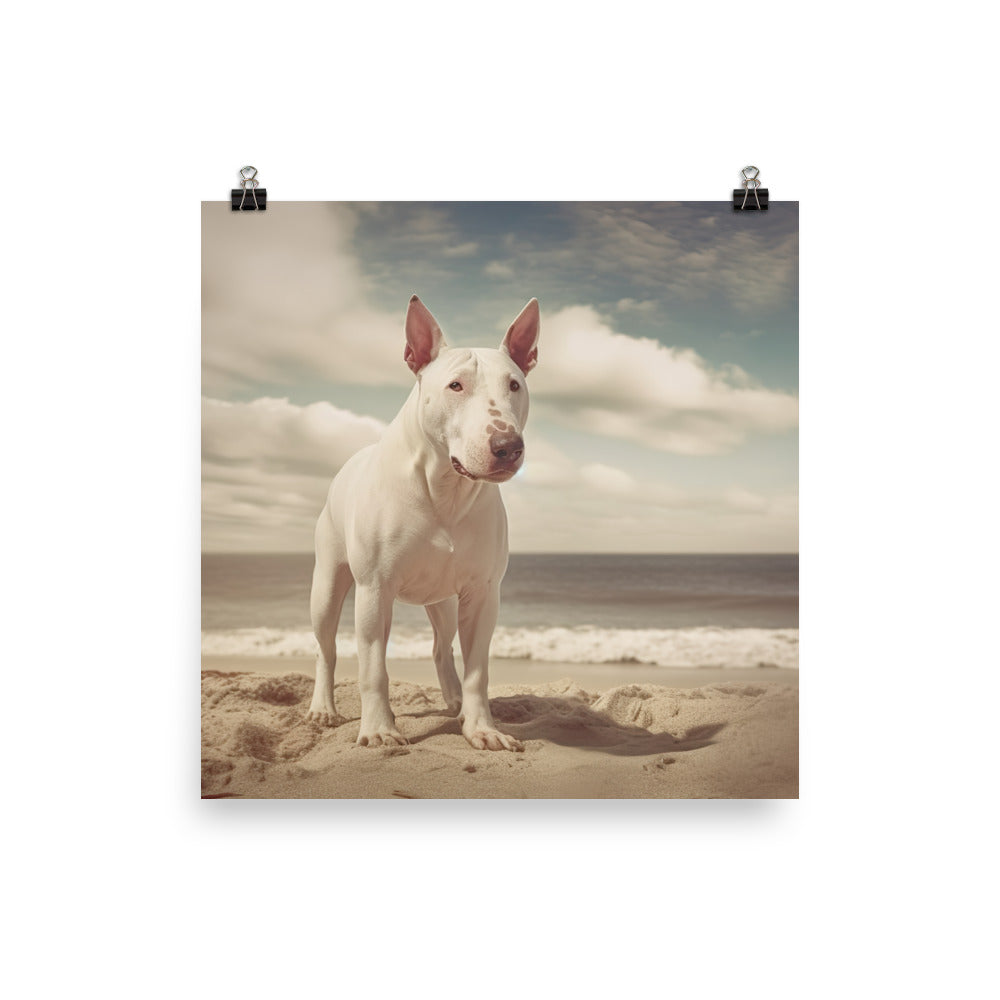 Bull Terrier on the Beach Photo paper poster - PosterfyAI.com