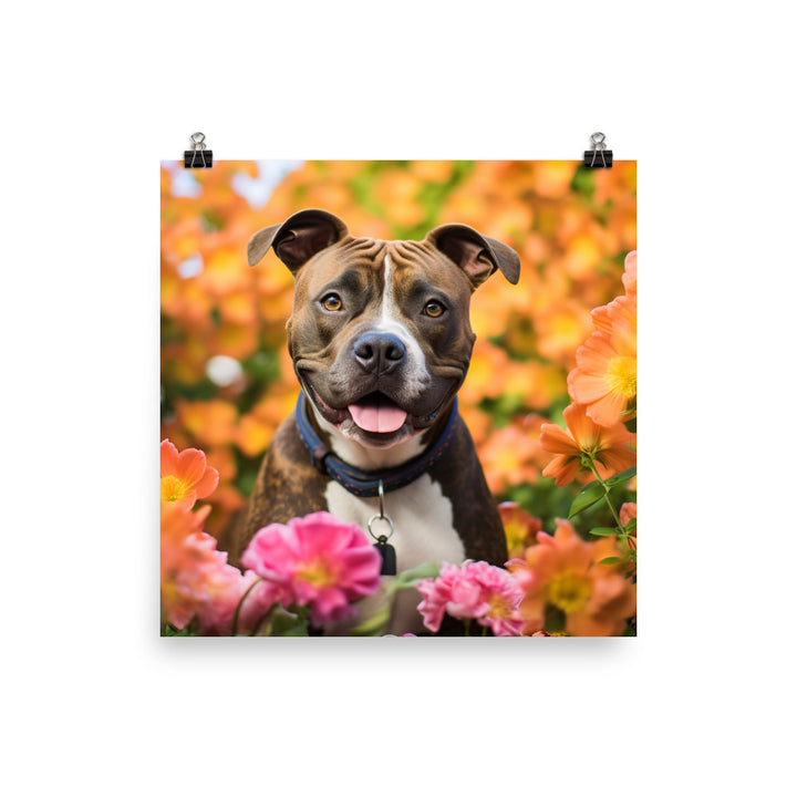 American Staffordshire Terrier in the Garden Photo paper poster - PosterfyAI.com