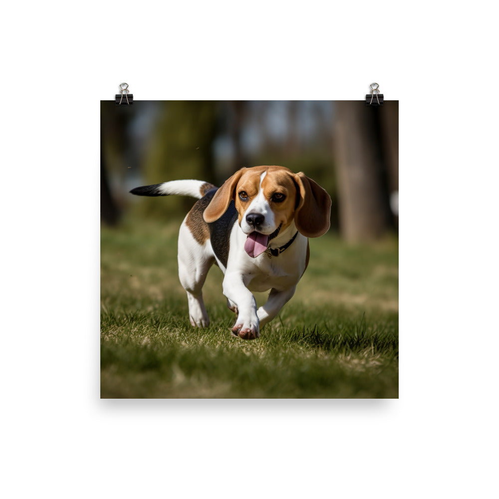 A day in the park with my Beagle Photo paper poster - PosterfyAI.com