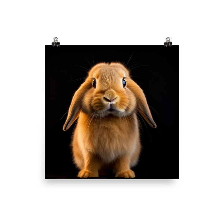 Holland Lop Bunny Photo paper poster - PosterfyAI.com