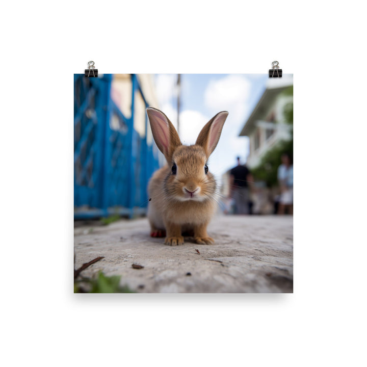 Adorable Havana Bunny Photo paper poster - PosterfyAI.com