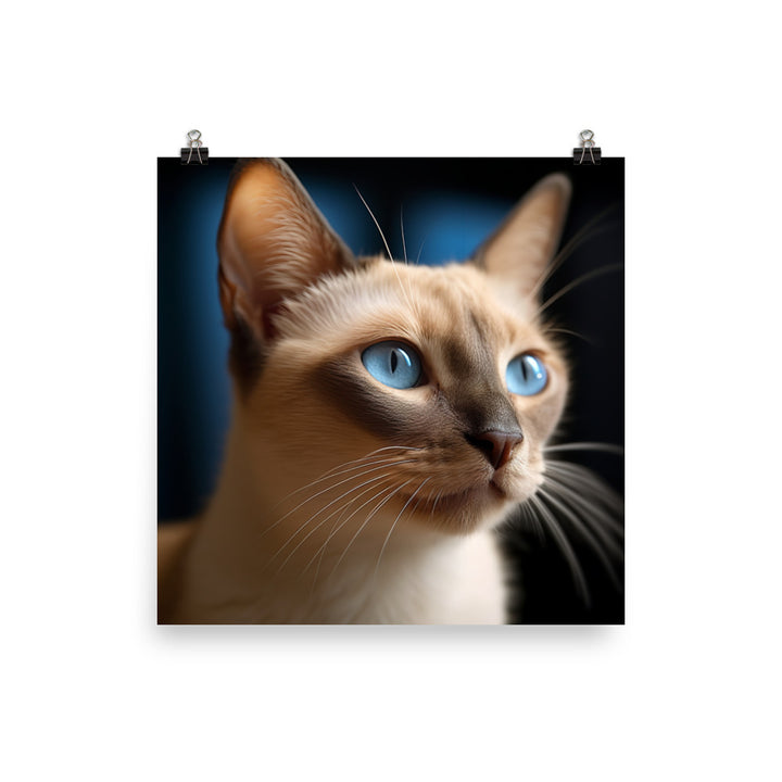 Charm of Tonkinese Kitten Photo paper poster - PosterfyAI.com