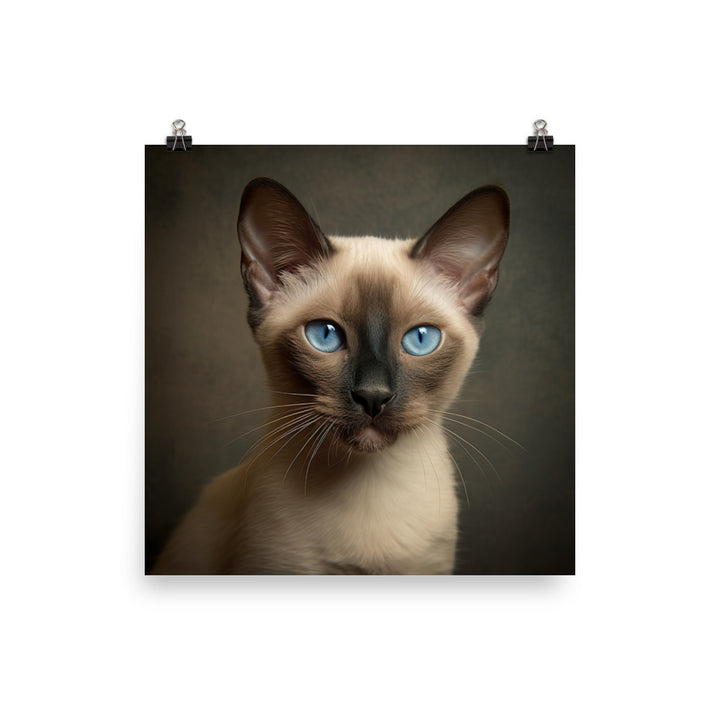 Charm of Tonkinese Kitten Photo paper poster - PosterfyAI.com