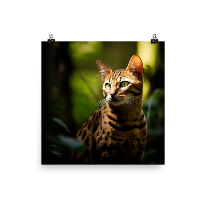 Wild Beauty of Ocicat Cat Photo paper poster - PosterfyAI.com