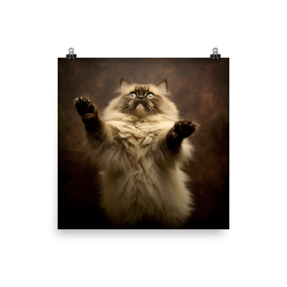 Playful Nature of Himalayan Cat Photo paper poster - PosterfyAI.com